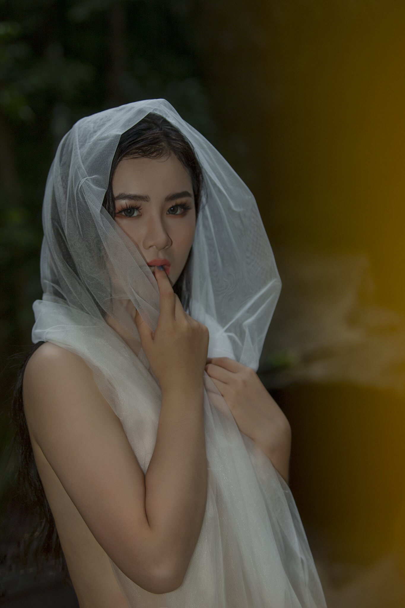 Vietnamese Woman Duong My Hiep Nude Pose